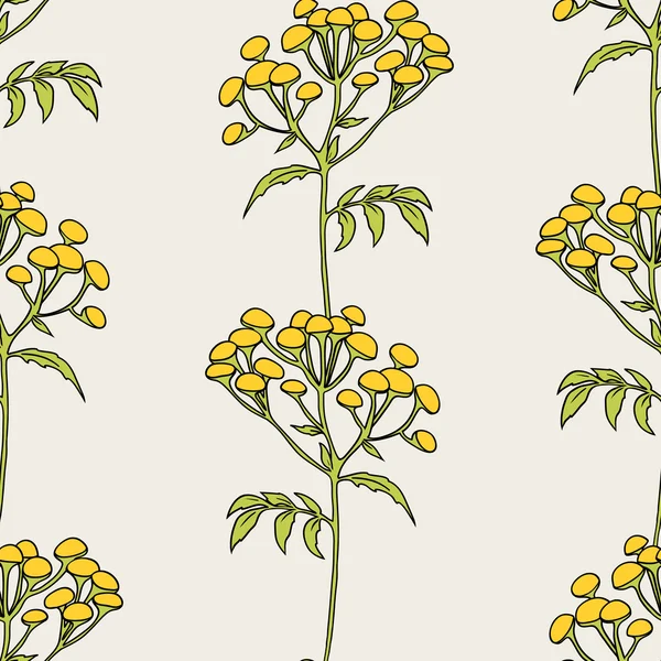 Wallpaper gentle  tansy pattern — Stock Vector