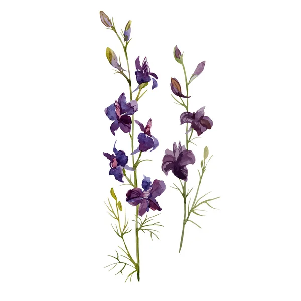 Acuarela flores púrpura — Vector de stock