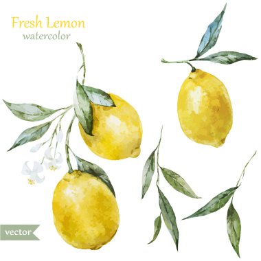 limon deseni