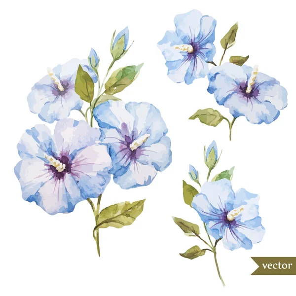 Fleurs bleues — Image vectorielle