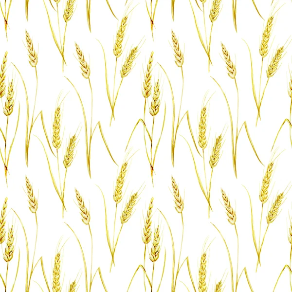 小麦模式 — 图库矢量图片