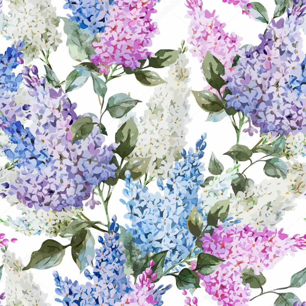 Acuarela de vector flores lilas imágenes de stock de arte vectorial |  Depositphotos