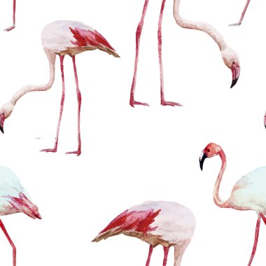 Flamingo Deseni