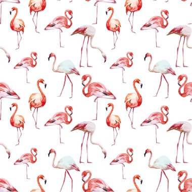 Flamingo Deseni