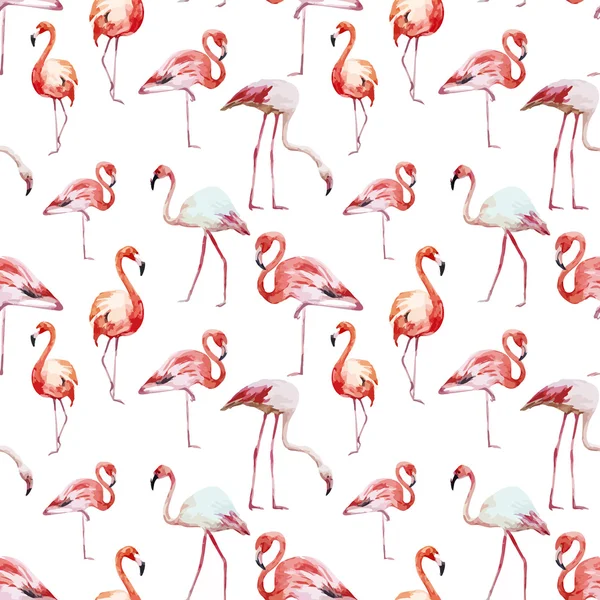 Flamingo pattern — Stock Vector