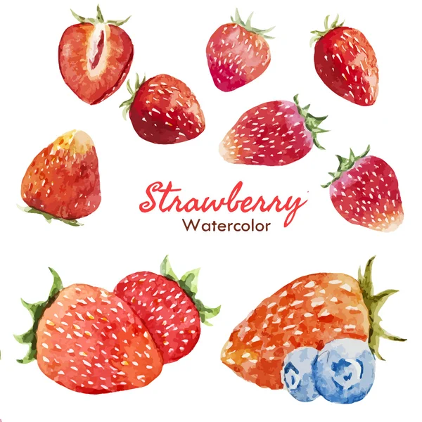 Berry set — Stock Vector