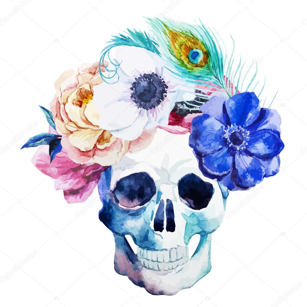 Anemones and scull