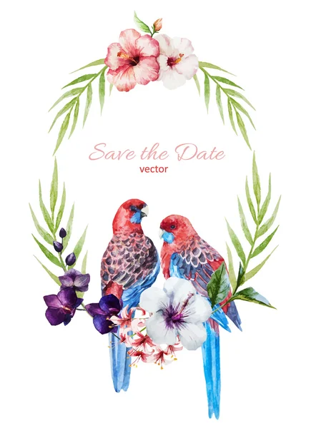 Beau cadre avec des oiseaux — Image vectorielle