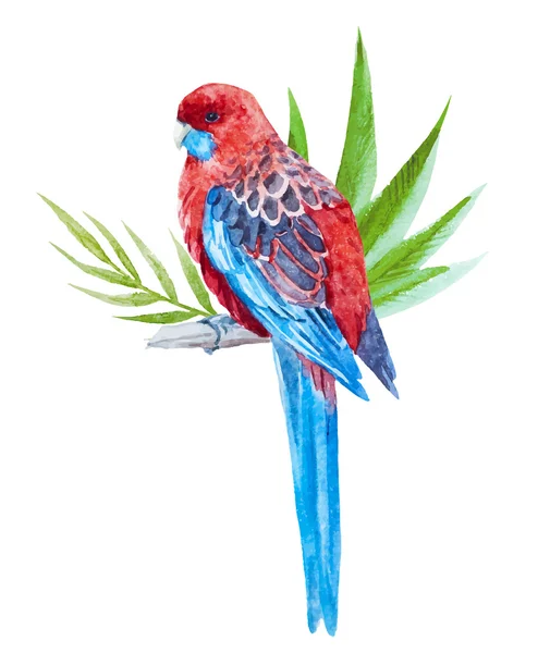 Pěkný tropical bird — Stockový vektor