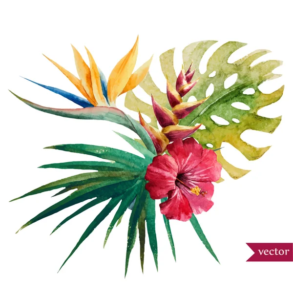 Jolies fleurs tropicales — Image vectorielle