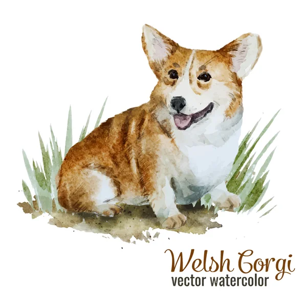 Velsh Korgi pembroke — Wektor stockowy