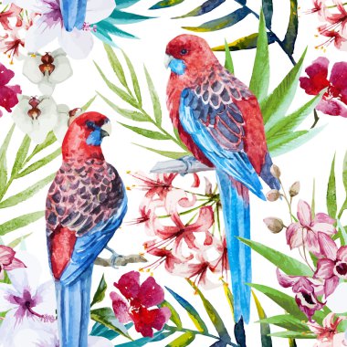 Rosella kuş desen