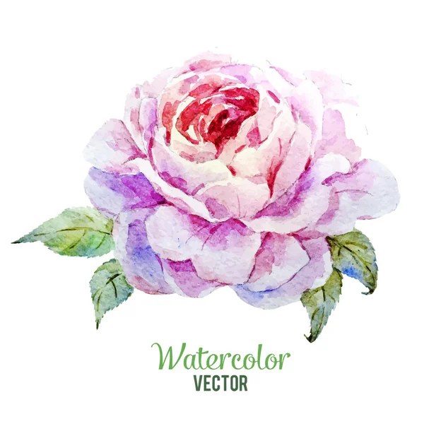 Jemné růže — Stockový vektor