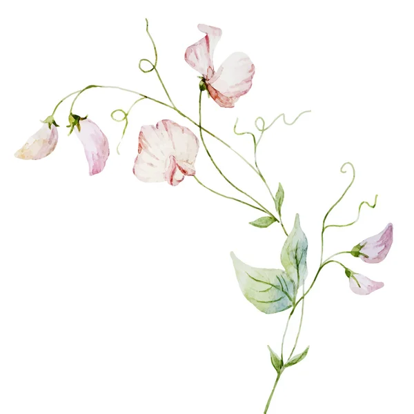 Jolies fleurs aquarelle — Image vectorielle