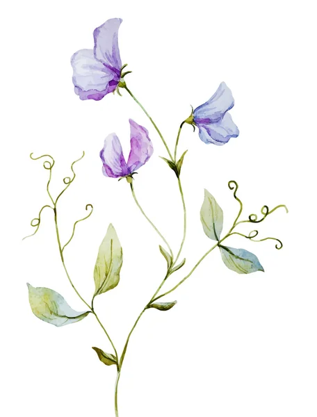 Bonitas flores de acuarela — Archivo Imágenes Vectoriales