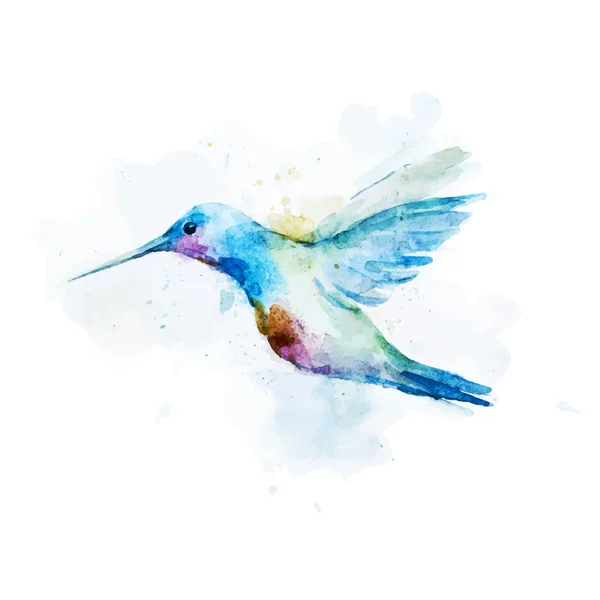 Acuarela colibrí ave — Vector de stock