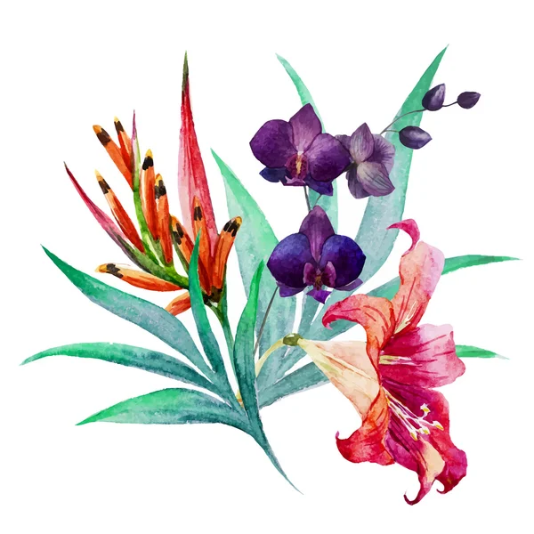 Bouquet tropical — Image vectorielle