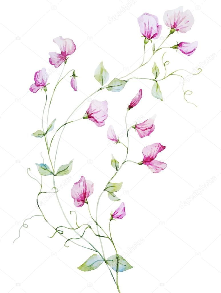 Nice watercolor flowers