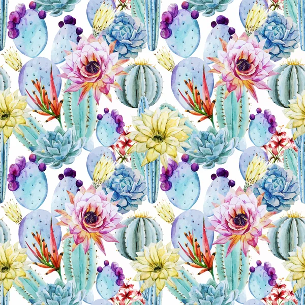 Cactus motifs sans couture — Image vectorielle