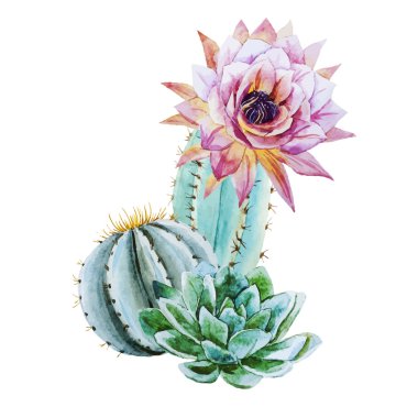 Download Watercolor Cactus Pattern Free Vector Eps Cdr Ai Svg Vector Illustration Graphic Art