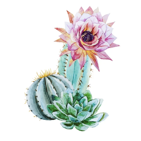 Watercolor cactus — Stock Vector