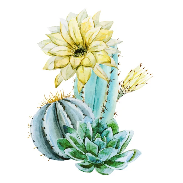 Cactus acuarela — Vector de stock