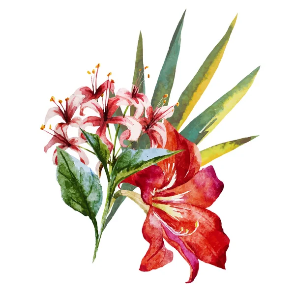 Kwiaty akwarelowe — Wektor stockowy