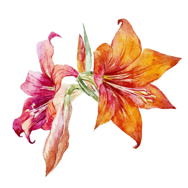 Aquarelbloemen — Stockvector