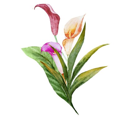 Tropikal suluboya çiçek