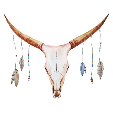 Boğa kafatası suluboya