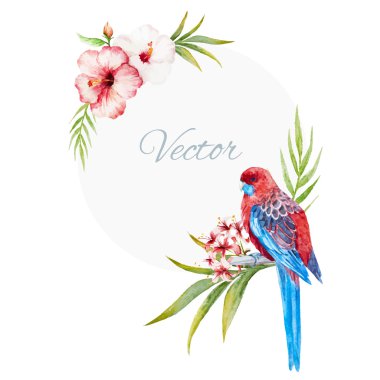 Düğün Çerçevesi