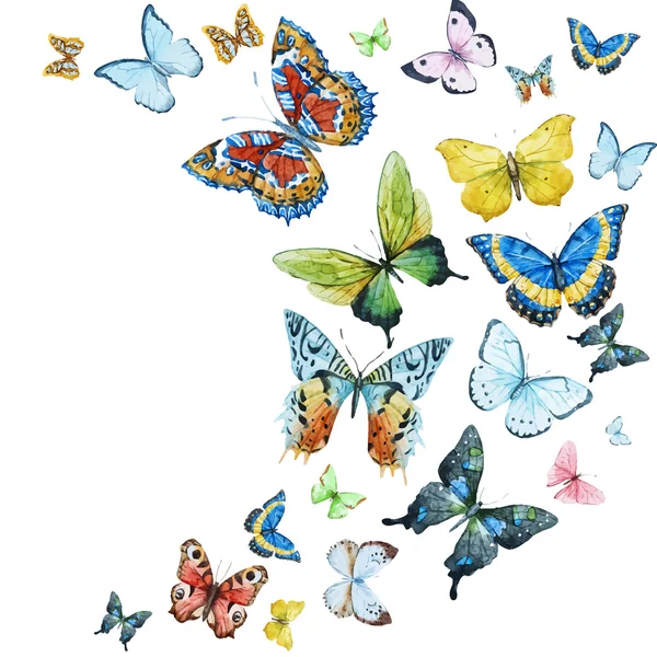 Watercolor butterflies — Stock Vector