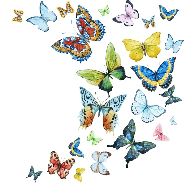 Papillons aquarelle — Image vectorielle