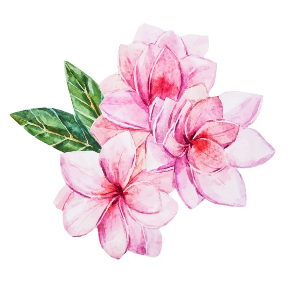 Watercolor flowers — Stock Vector