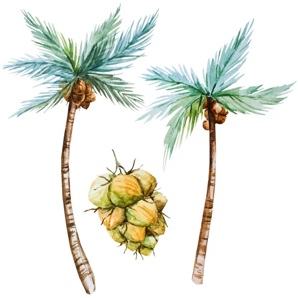 Palmiers aquarelle — Image vectorielle
