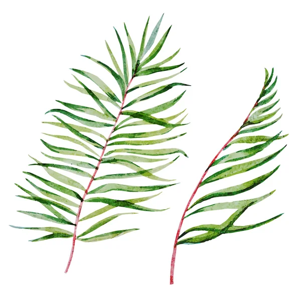 Aquarel tropische planten — Stockvector