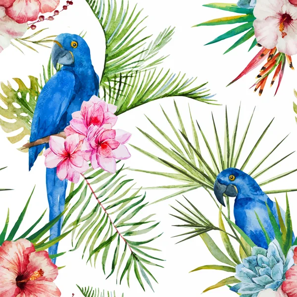 Modèle tropical — Image vectorielle