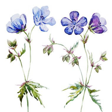 Güzel suluboya çiçek