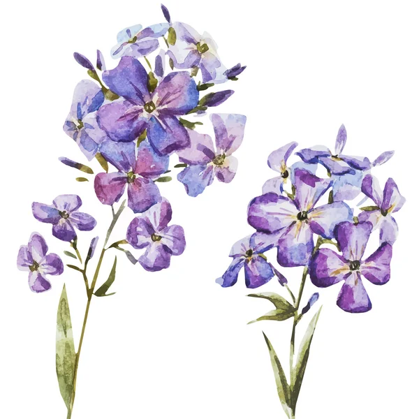 Nice watercolor flowers — Stock Vector