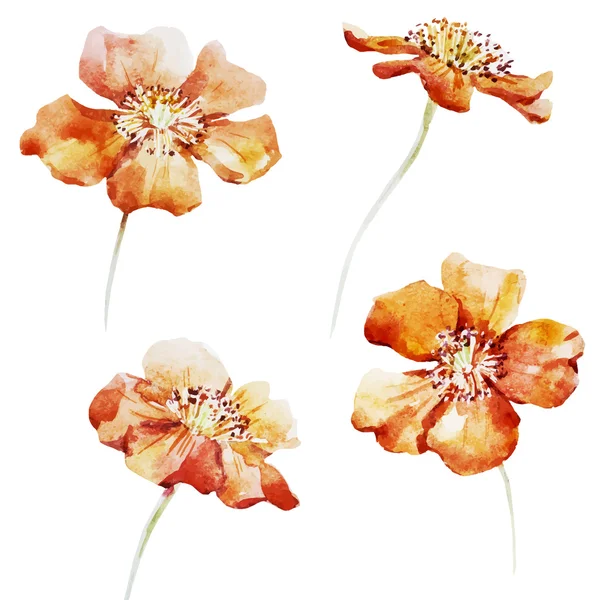 Bonitas flores de acuarela — Vector de stock