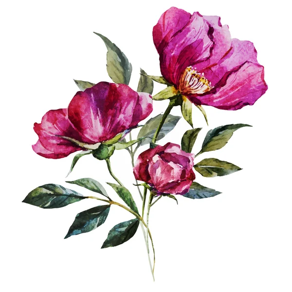 Jolies fleurs aquarelle — Image vectorielle