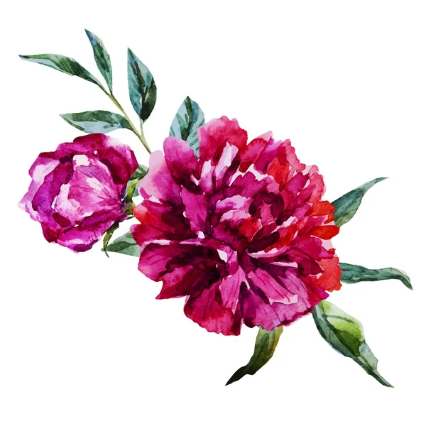 Bonitas flores de acuarela — Vector de stock