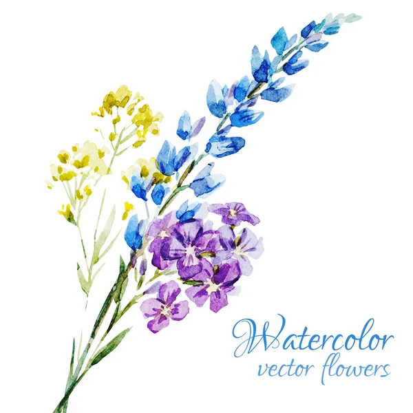 Nice watercolor flowers — Stock Vector