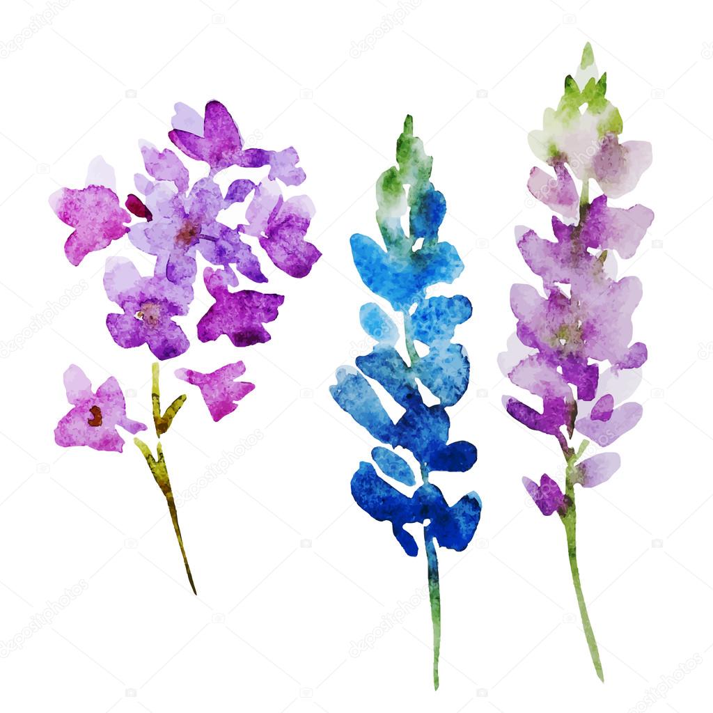 Download Nice watercolor flowers — Stock Vector © ZeninaAsya #76872823