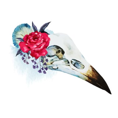 Watercolor bird skull