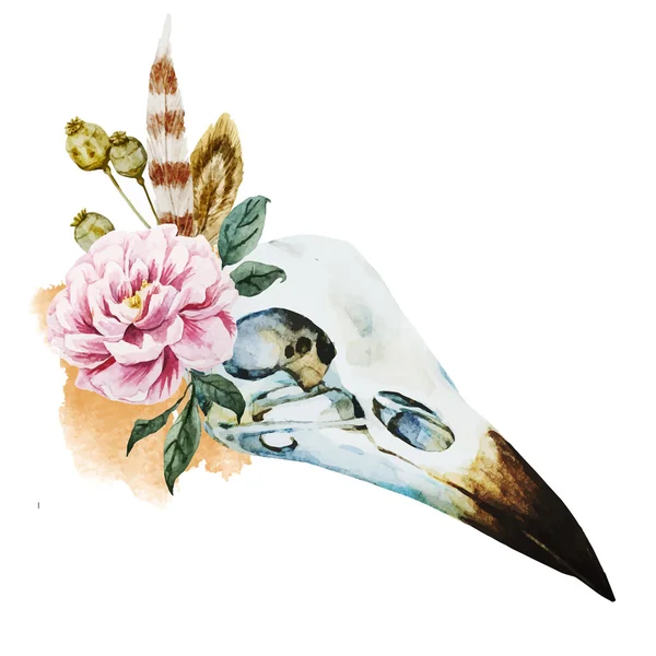 Watercolor bird skull — 스톡 벡터