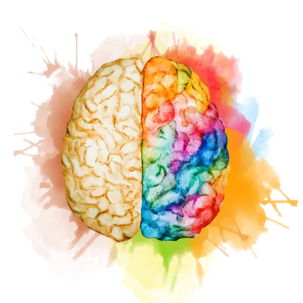 Watercolor brain — Stockvector