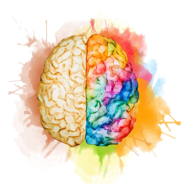 Watercolor brain — Stockový vektor