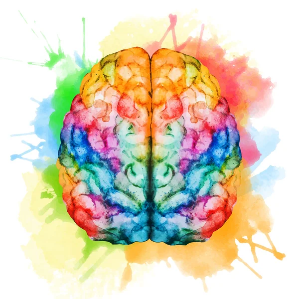 Watercolor brain — Stok Vektör