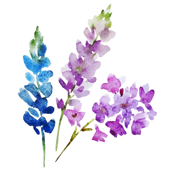 Acuarela flores — Vector de stock